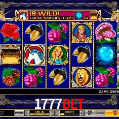 1777bet Rio de Janeiro - Bonus Terms